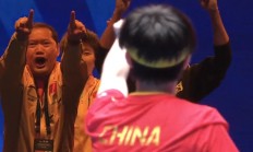 奋战球场上队员激情四射，斩获胜利的简单介绍