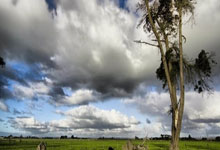 挪威帆船选手稳定发挥跻身前三