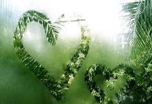 巴黎FC青年队球员荣膺最佳球员,获得嘉奖