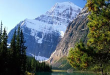 关注体育界的最新热点赛事报道:与每一刻激情同行