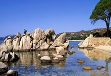 山东鲁能势不可挡,追逐胜利的鼓号声