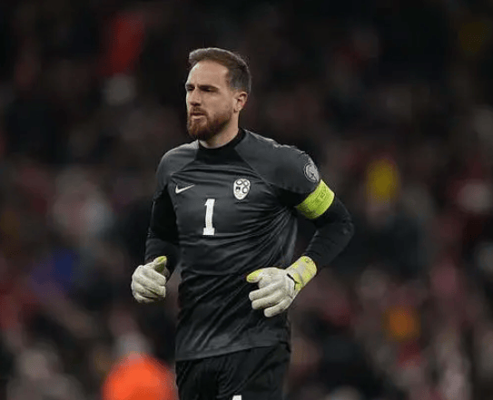 斯洛文尼亚队在欧预赛中大胜 斯洛文尼亚队在欧预赛中大胜